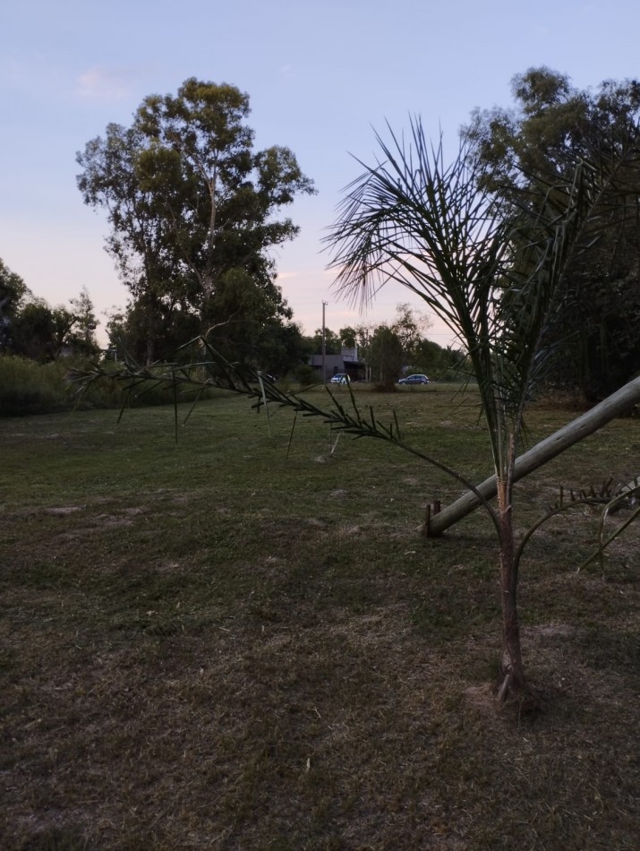 Terreno
