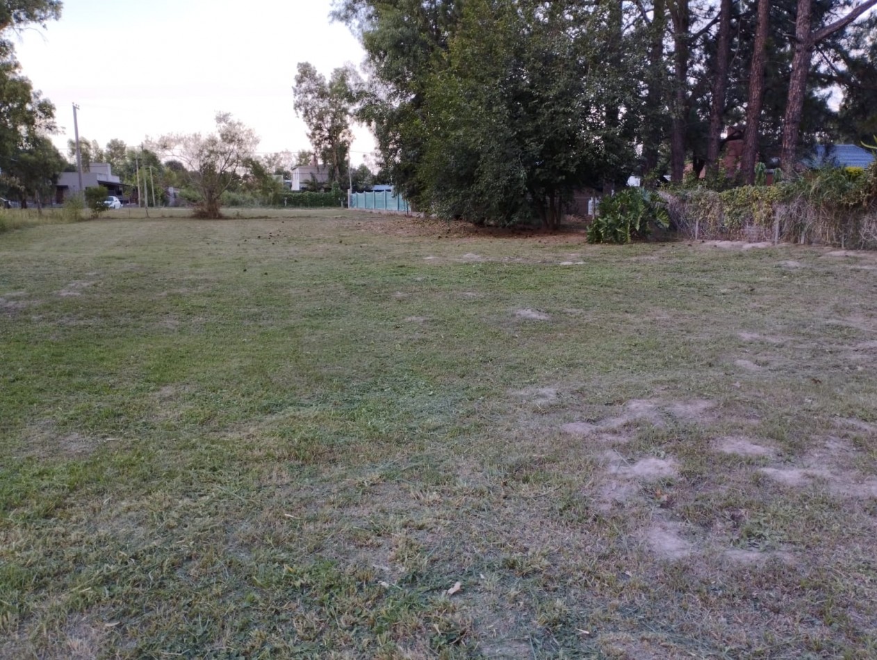 Terreno
