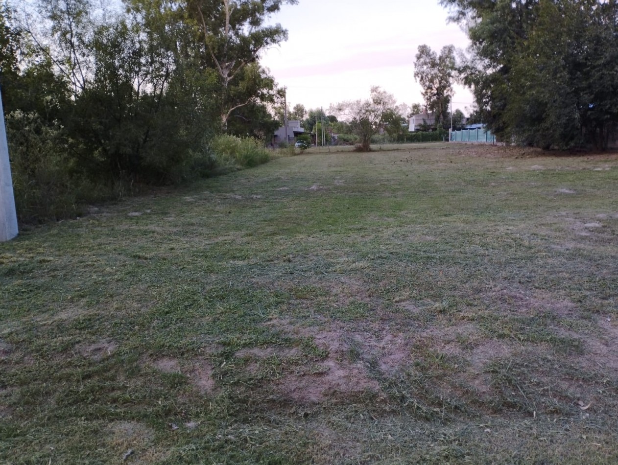 Terreno