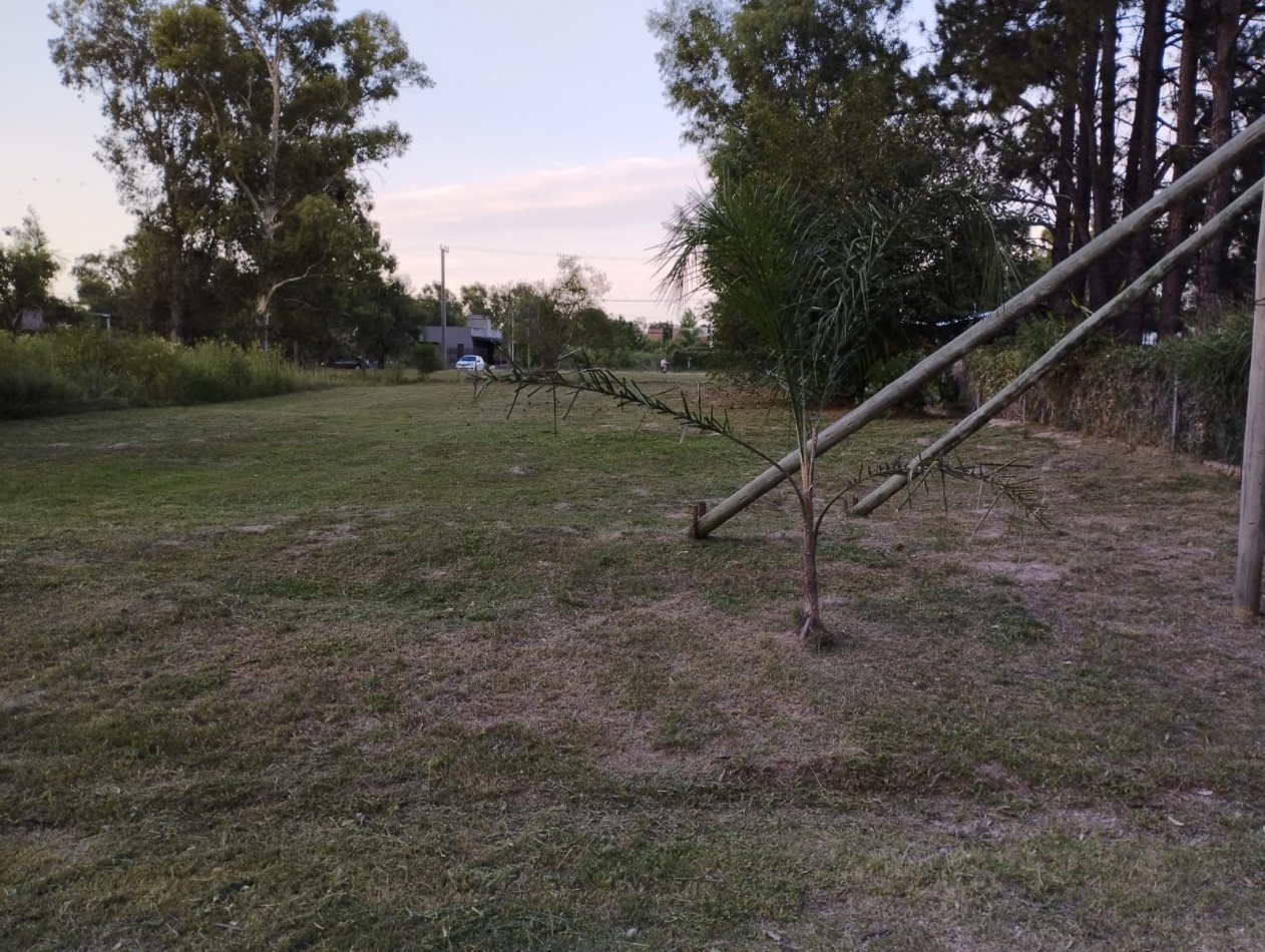 Terreno