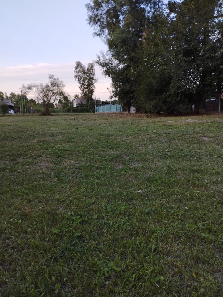 Terreno