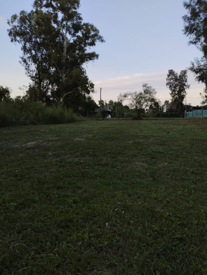 Terreno